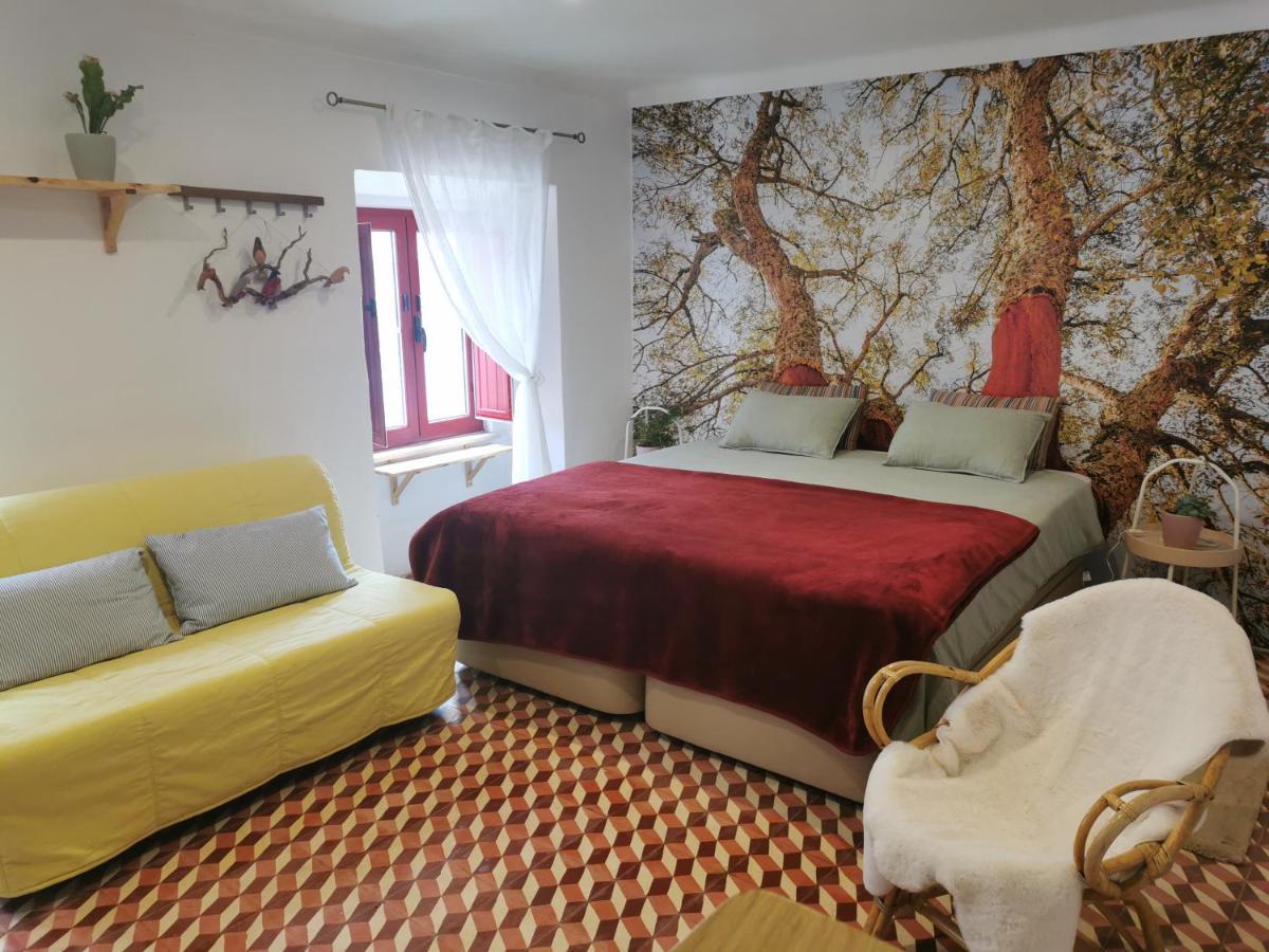 4Bs - Birds & Bicycles Apartment คาสโตร เวร์เจอ ภายนอก รูปภาพ